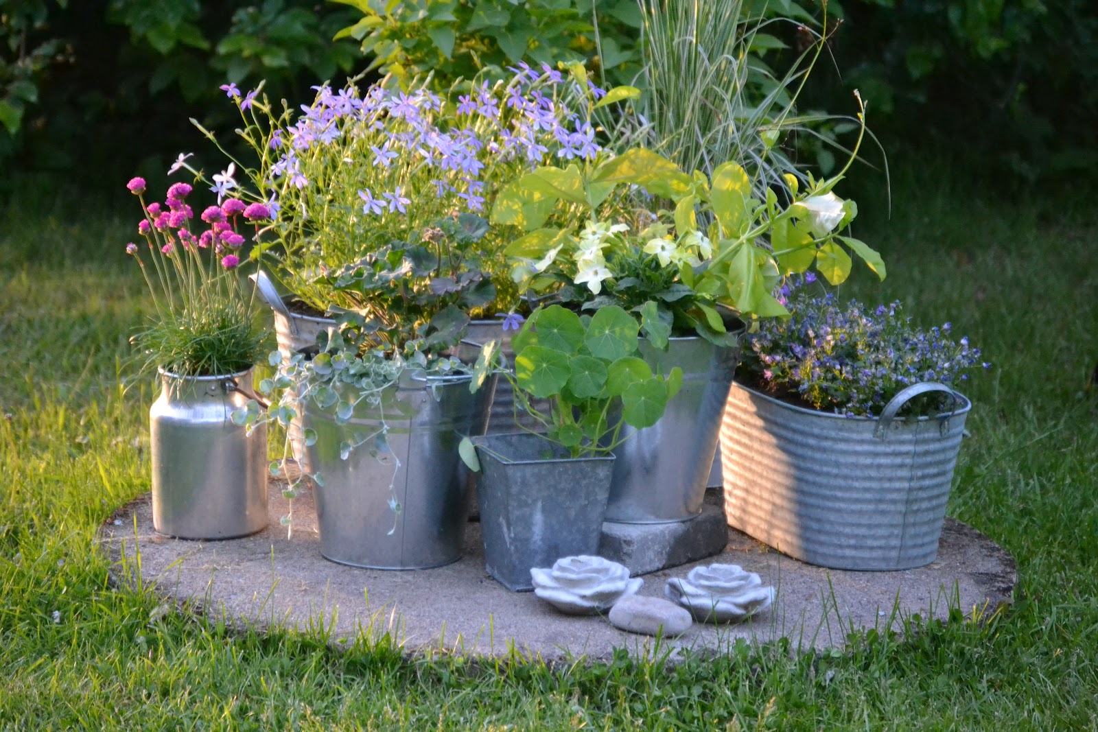 Spira trädgårdsdesign: juni 2012