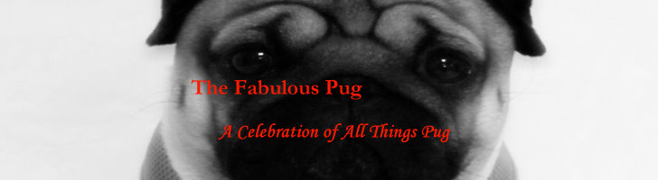 The Fabulous Pug