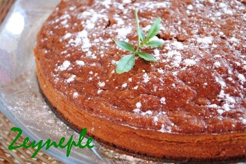 Nefis ve Pratik Tarifler Ayvalı Kek