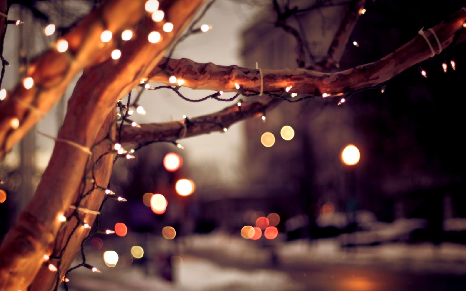 Christmas Lights Software Desktop Wallpaper