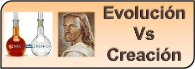 ¿Nos creó Dios o evolucionamos por casualidad?