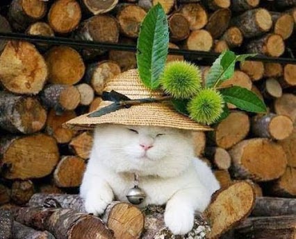 como reduzir o peso das imagens reduza o peso das imagens