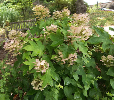 Lisa Schmuecker Lisaschmuecker On Pinterest