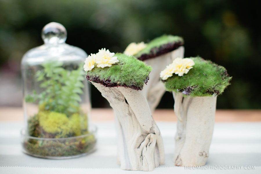  a perfect mini centerpiece when filled with moss and cherry blossoms