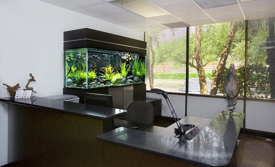 Interior Building Design Ornamental Fish Aquarium For Your