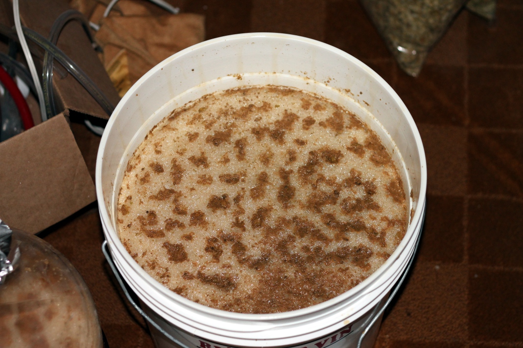 The Mad Fermentationist Homebrewing Blog March 2012