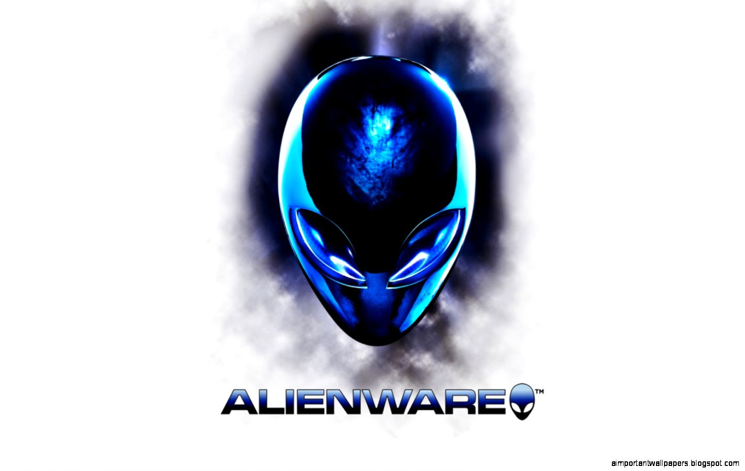 Cherche un Graphiste Assez Urgent Cherche un Graphiste Assez Urgent