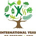 Forest Heroes to Receive Special Recognition as International Year of Forests Draws to Close