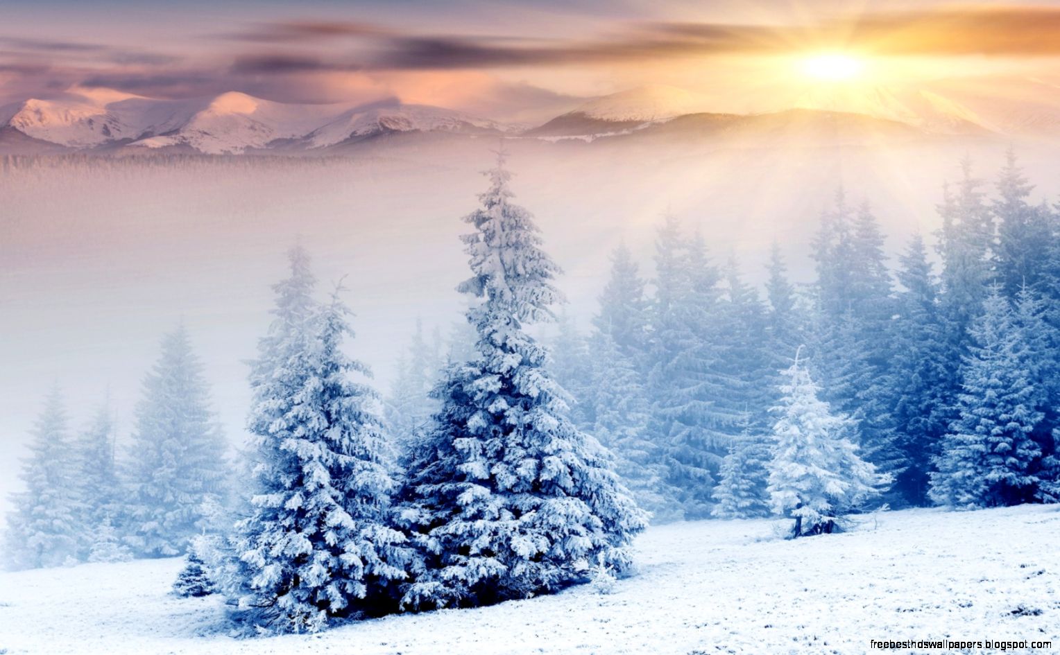 1680x1050 Sunset snow landscape Wallpaper 1680x1050 Sunset snow landscape Wallpaper