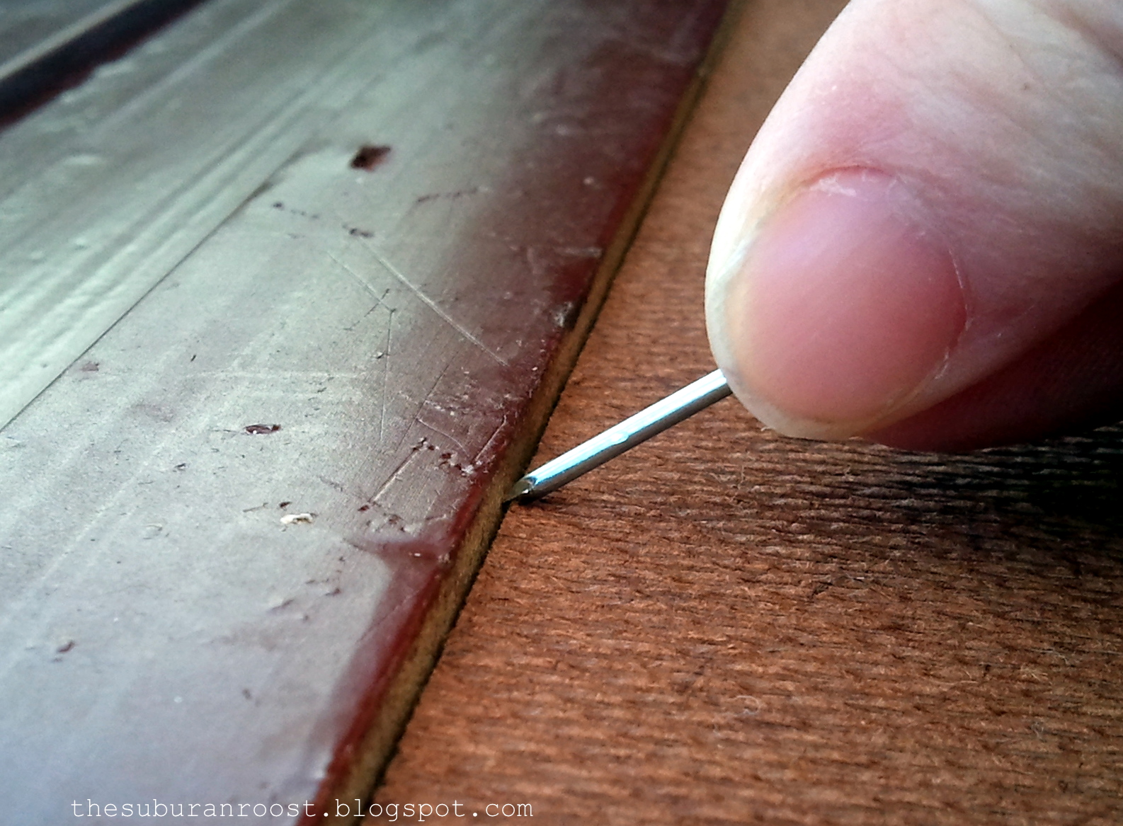 The Suburban Roost The Formal Chalkboard