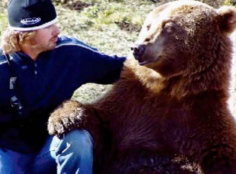A Man Found Two Bear Cubs About to Die. Words Can’t Describe What Followed. A Man Found Two Bear Cubs About to Die. Words Can’t Describe What Followed.