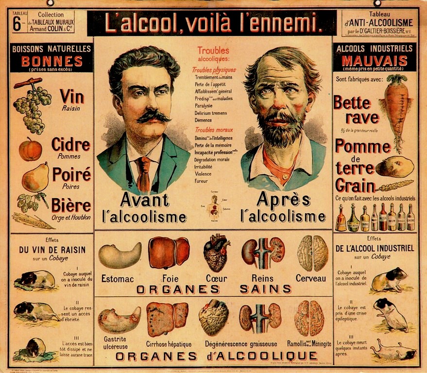 L%2527alcool%252C+mon+meilleur+ennemi.jpg