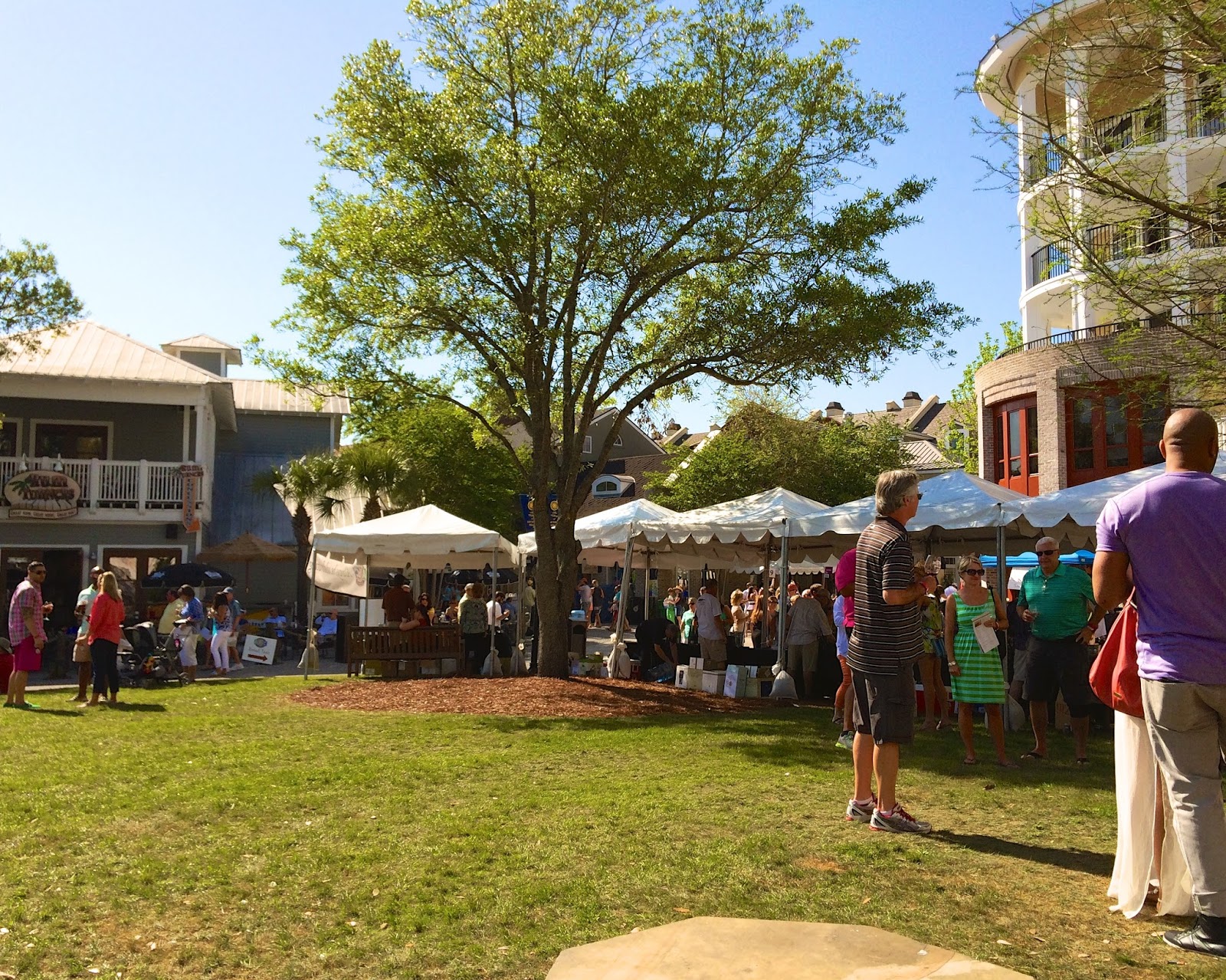 Sandestin Wine Festival Plain Chicken