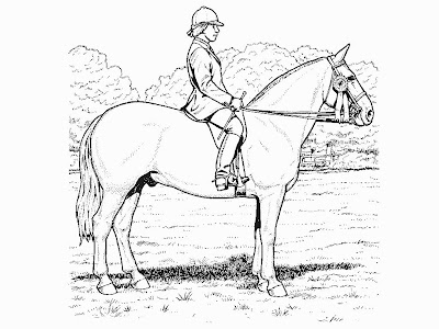 Horses Coloring Pages That You Can Print – Colorings.net