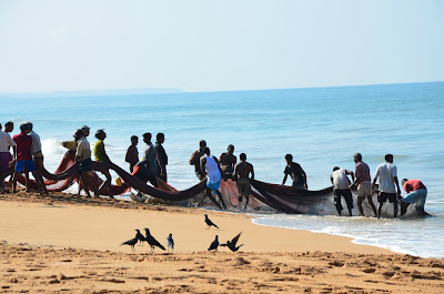 Sri Lanka - Induruwa / Bentota / Aluthgama