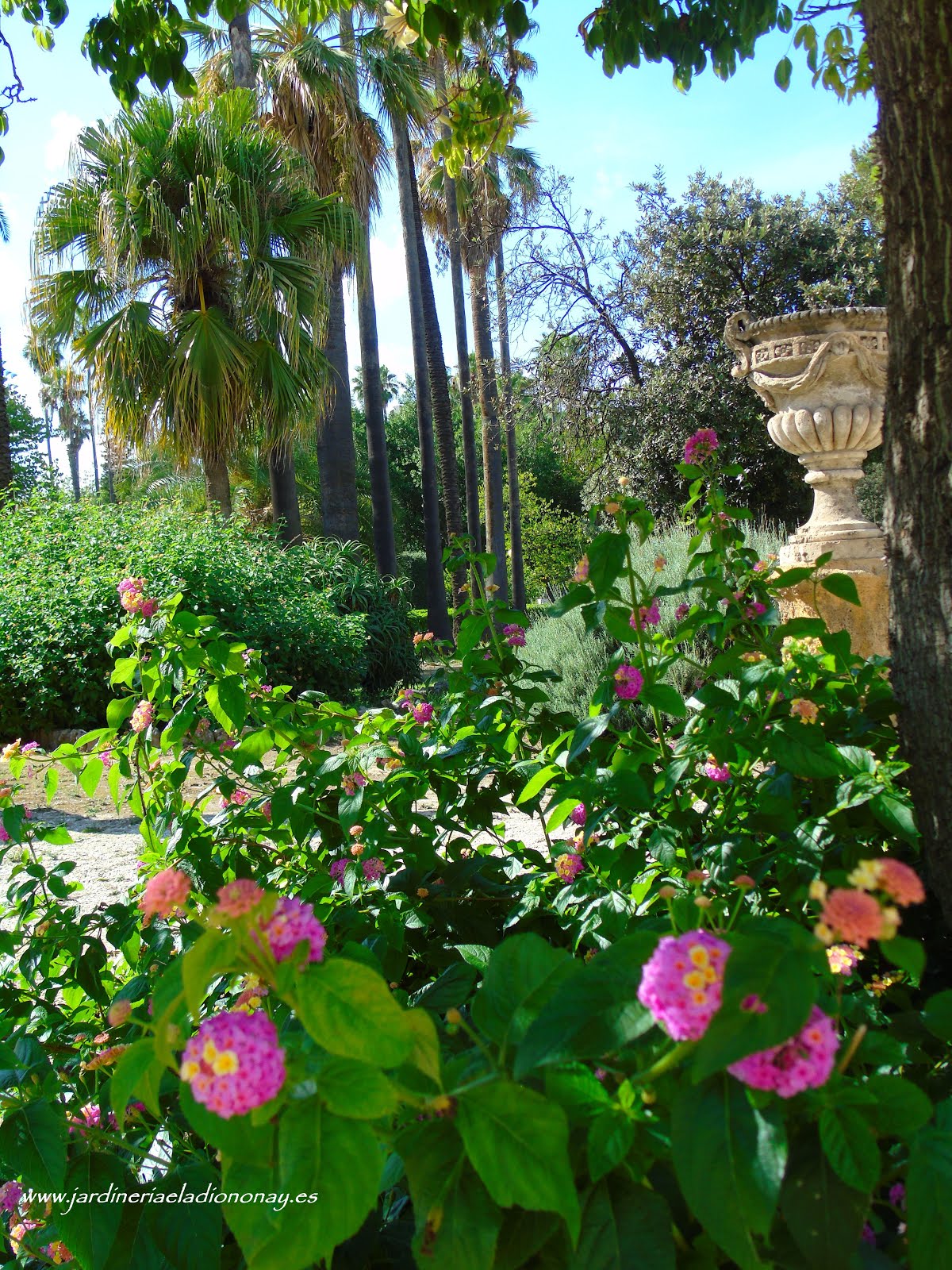 Jardineria Eladio Nonay: HERMOSO JARDÍN, CUMPLE LOS CÁNONES DE BELLEZA