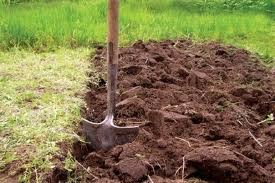 The Redeemed Gardener: "Great Soil is a Gardens Foundation", Part 2