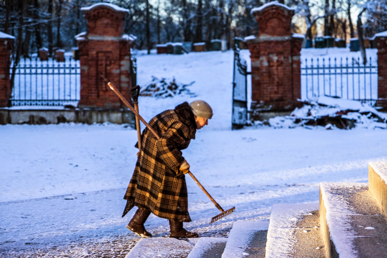 Gwiazdka w Puszczy - Ania w Podróży