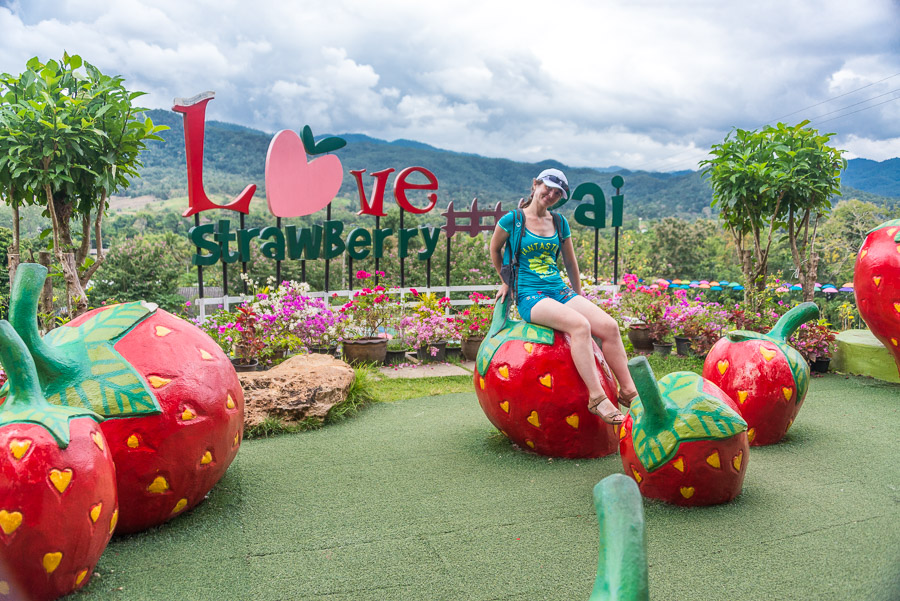 Love Strawberry, Canyon, Mo Paeng Waterfall