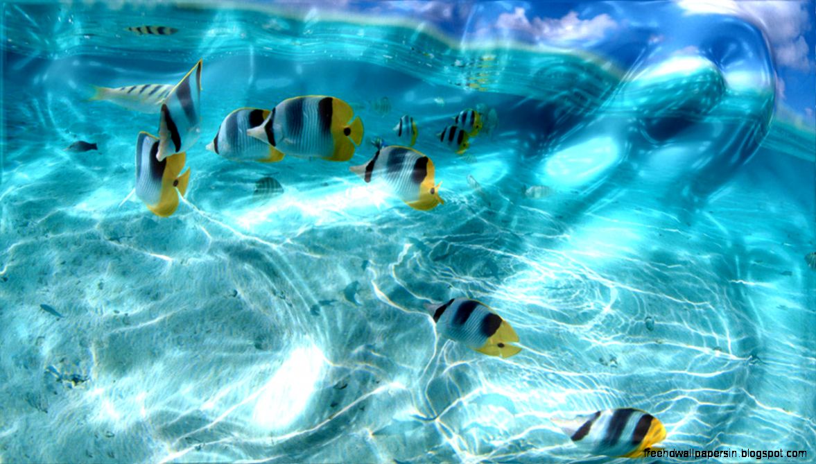 Watery Desktop 3D Screensaver 39993   Free Download Watery Desktop 3D Screensaver 39993   Free Download