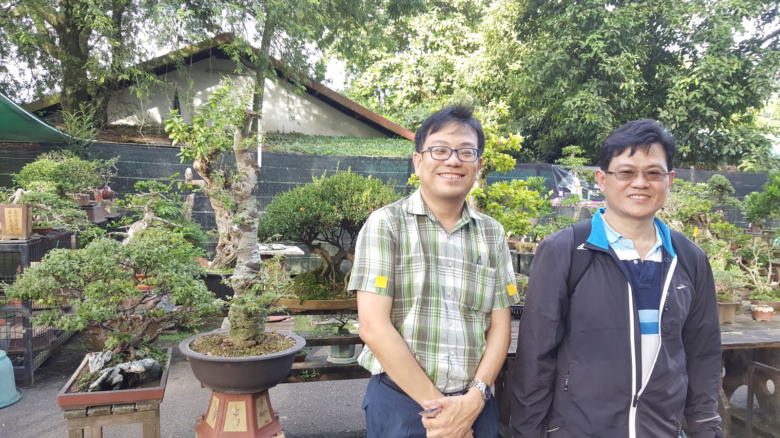 Boh's Bonsai and Art Collection (盆栽与艺术之家) call 98267767 if you need to