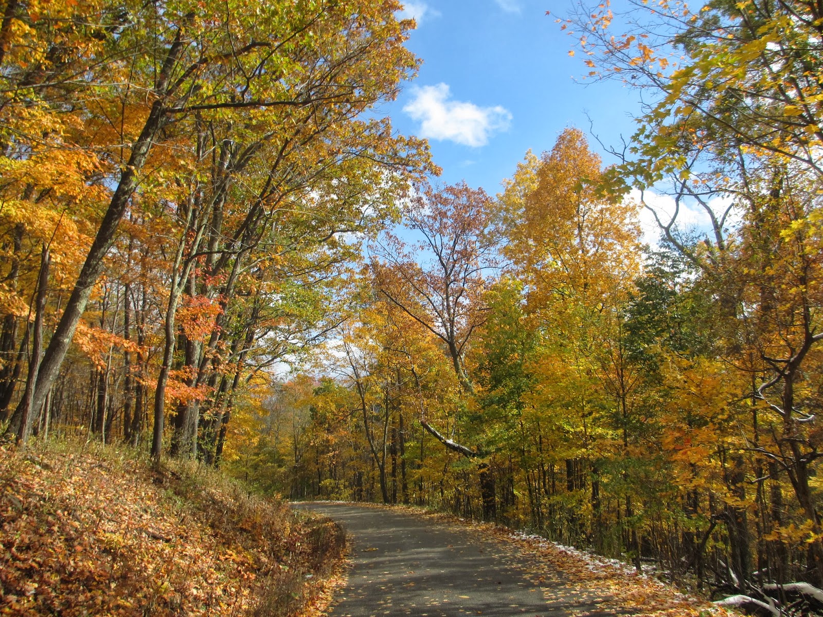 Cannundrums Spruce Knob High Point of West Virginia