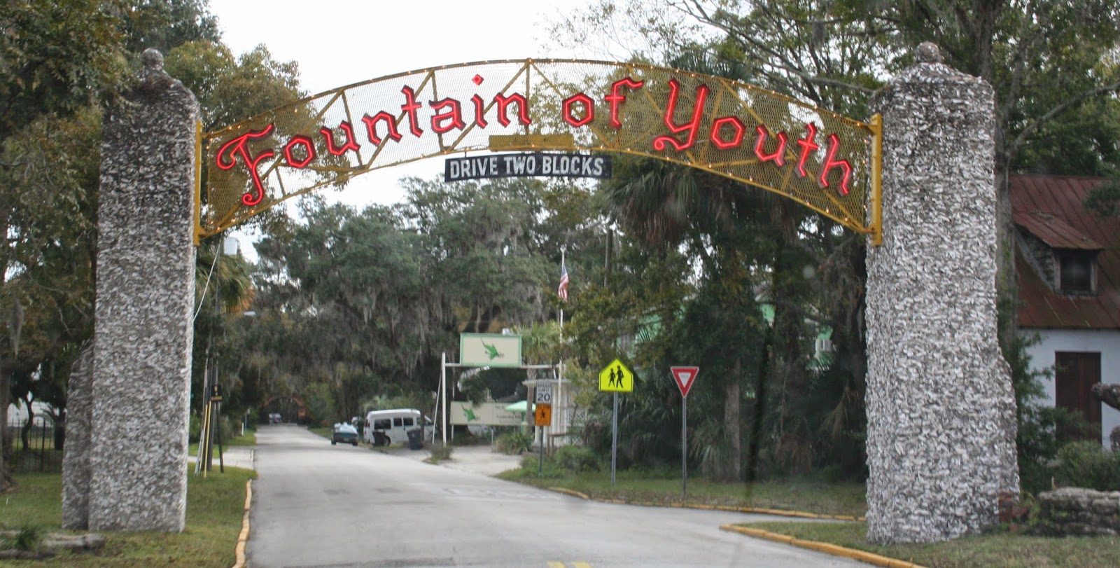 The Carpetbagger The Fountain of Youth