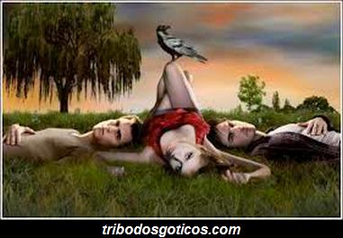 nem parecem vampiros vampiros na floresta crepusulo