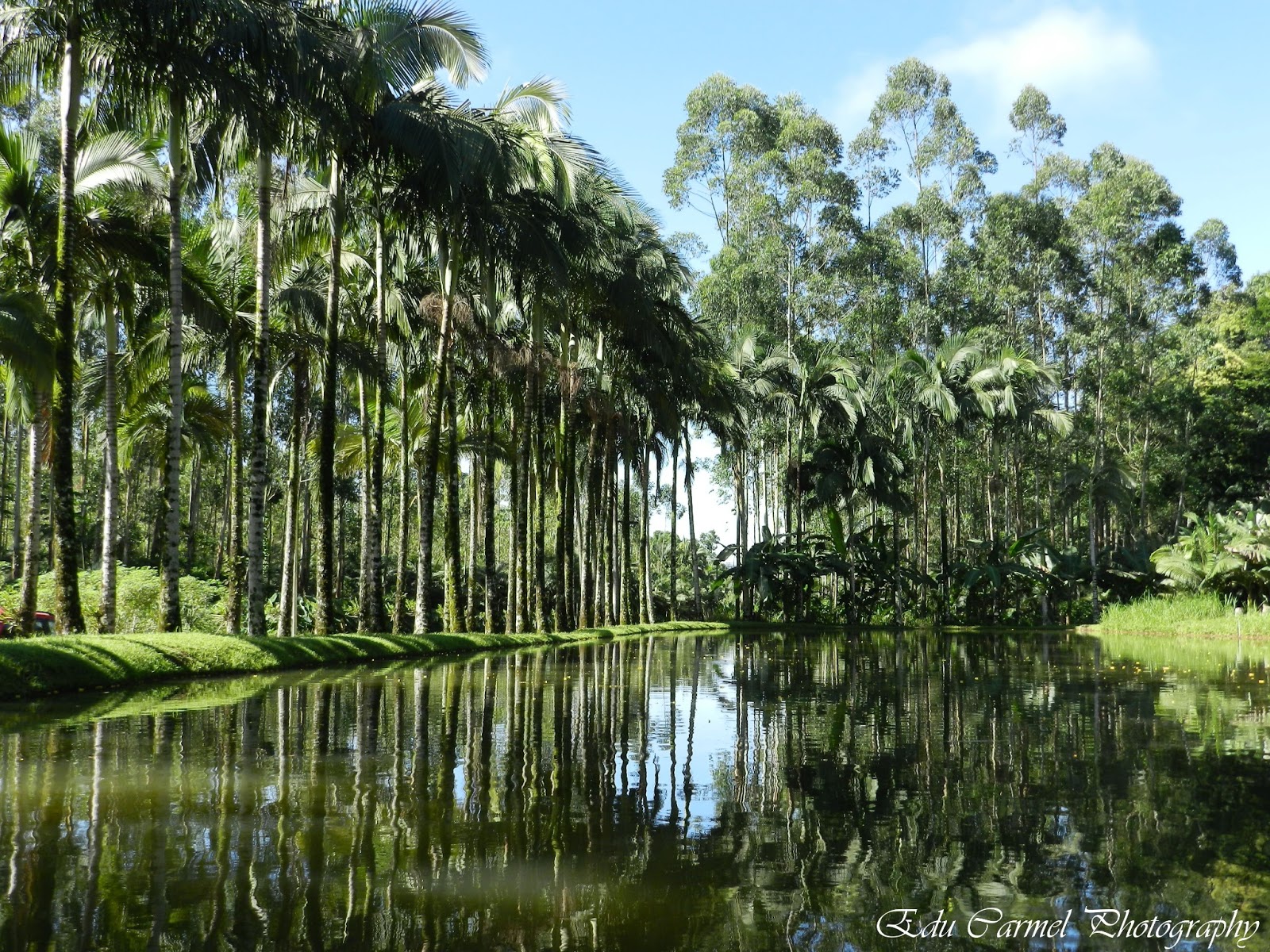 . Sessão de Fotos Schroeder Santa Catarina