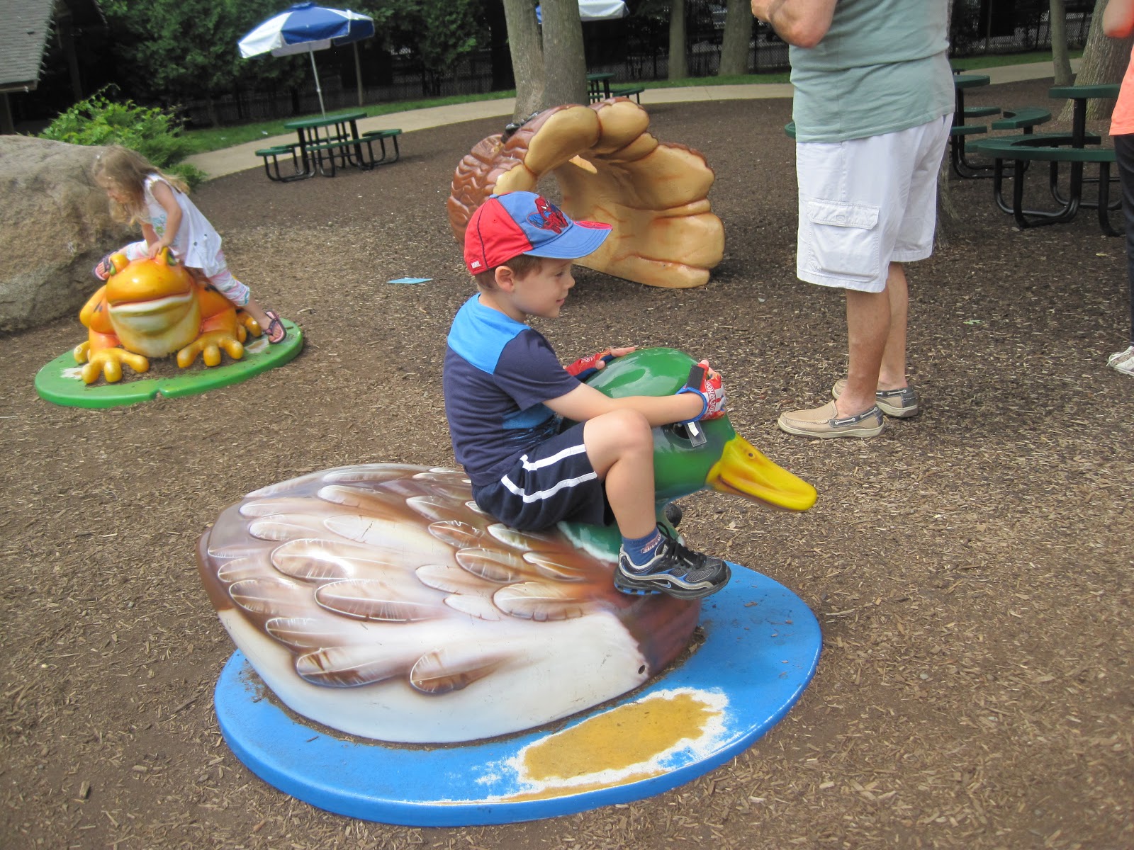 NJMum Turtle back Zoo!