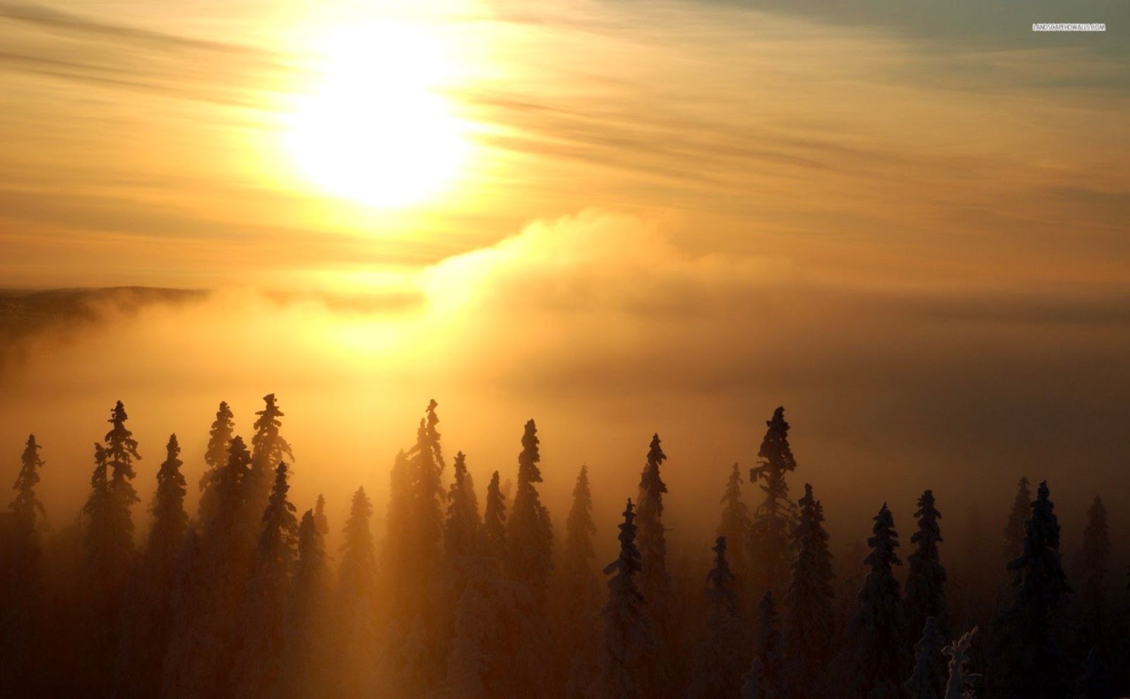 Extreme Fog Extreme Fog