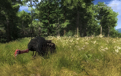 تحميل لعبة الصيد في الغابات 2014 مجانا للكمبيوتر Download Hunting Unlimited 3 The+Hunter2