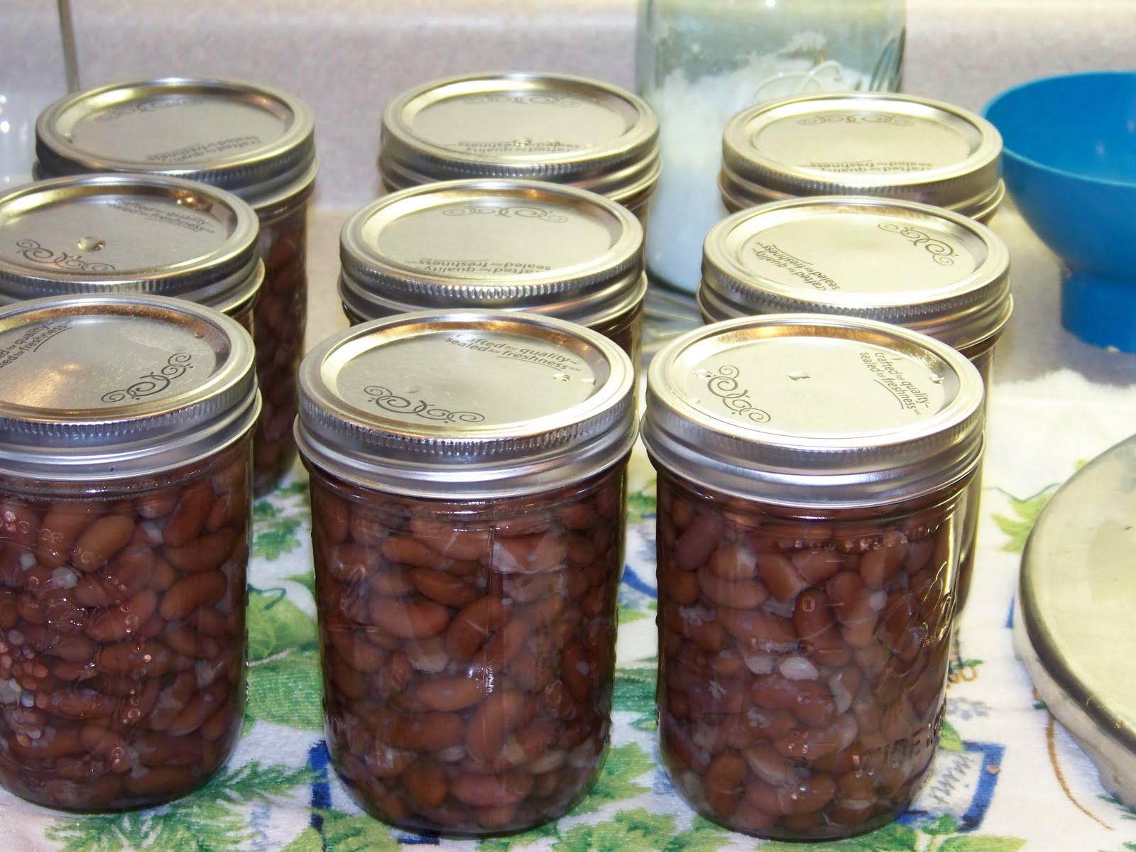 Hickery Holler Farm Canning Dried Beans