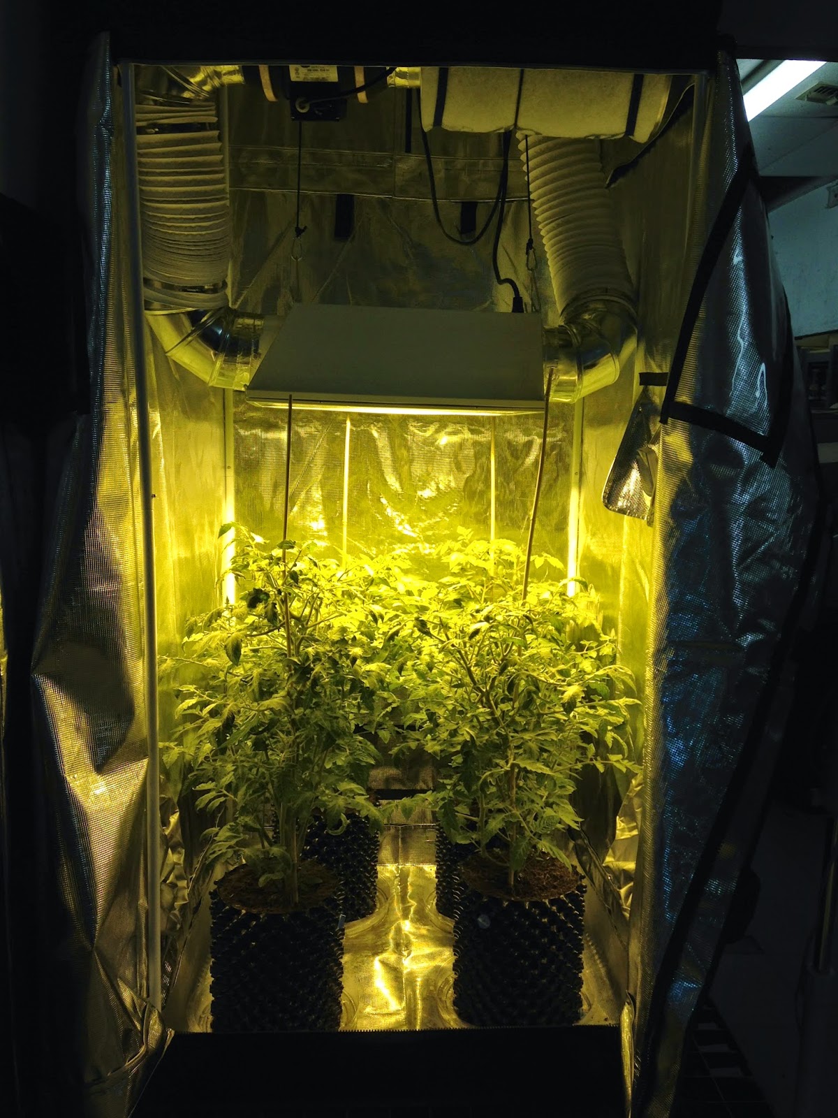 The Grow Room Special Premium 3�x3� Grow Tent SetUp