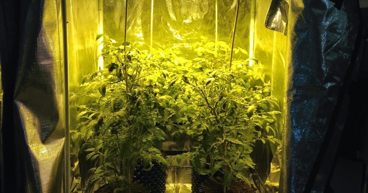 The Grow Room Special Premium 3�x3� Grow Tent SetUp