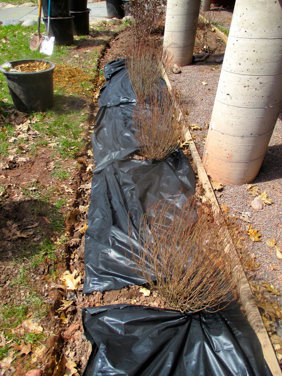 Art's Bayfield Almanac PUTTING DOWN A WEED BARRIER MAT AND MULCH