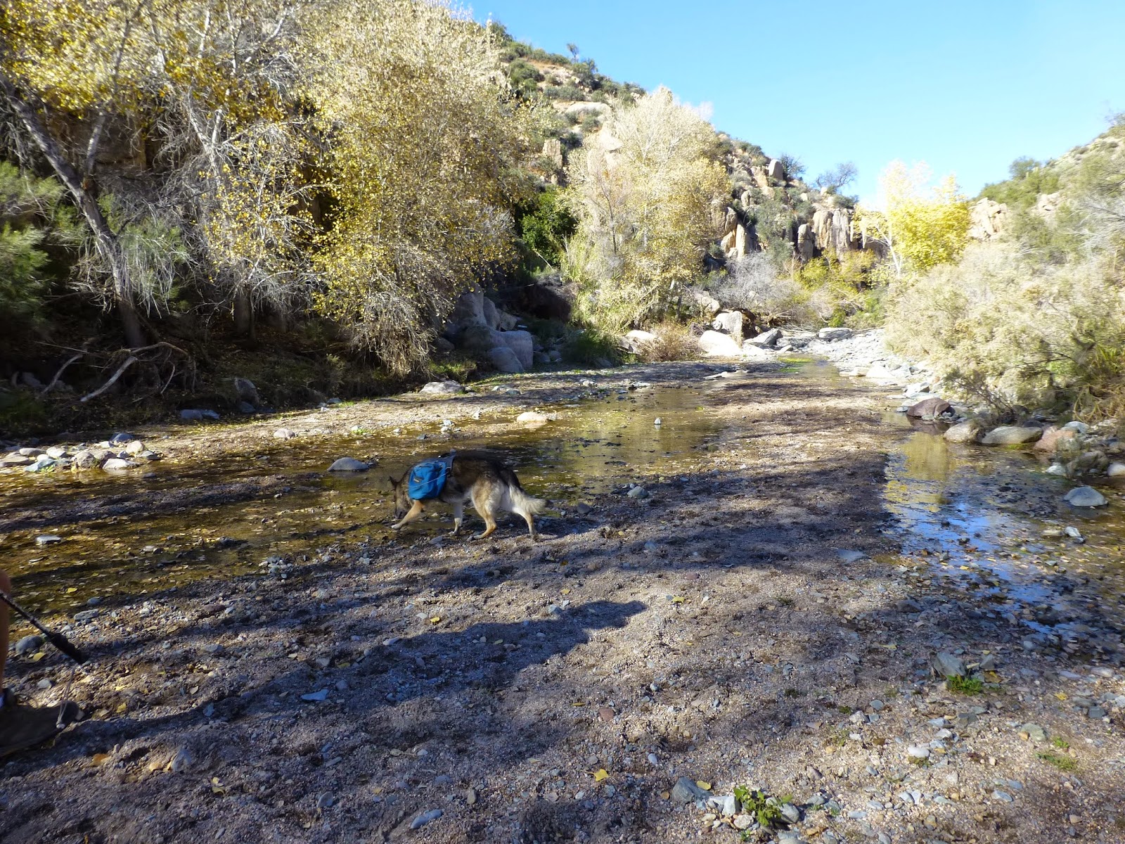 Hiking Camp Creek Falls, Tonto National Forest, Arizona