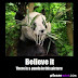 Believe it There is a Panda in this picture