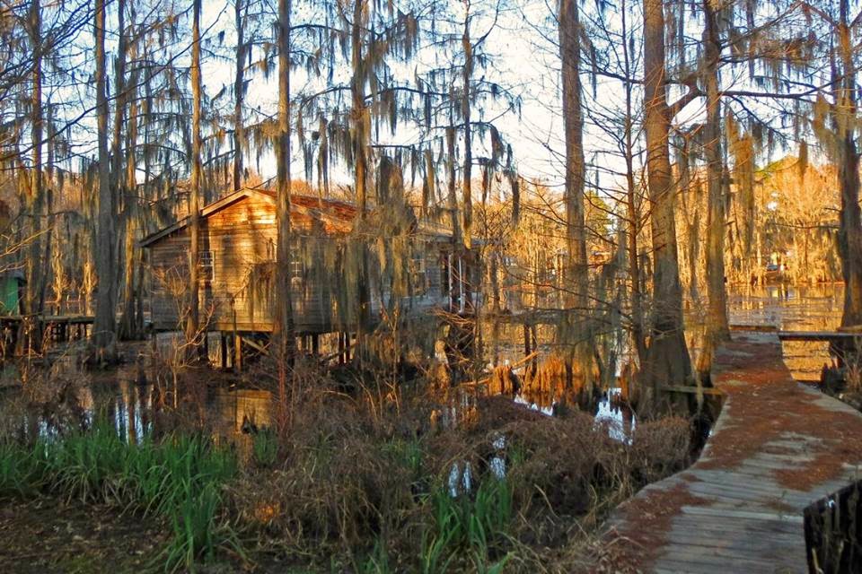An Arkies Musings Caddo Lake