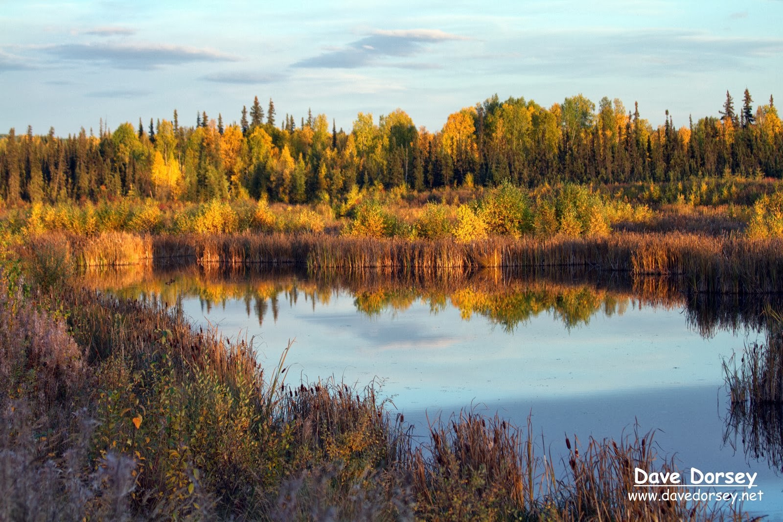 Fall in Fairbanks