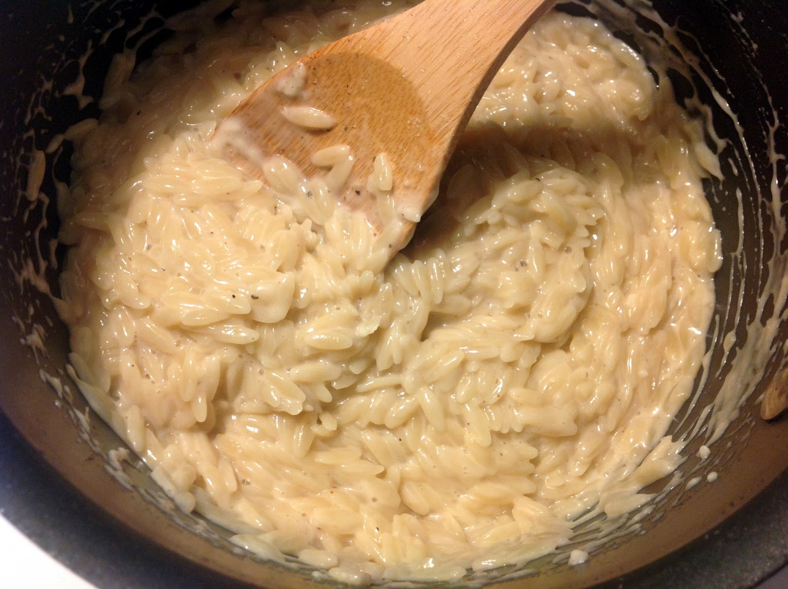 the dog mom parmesan orzo