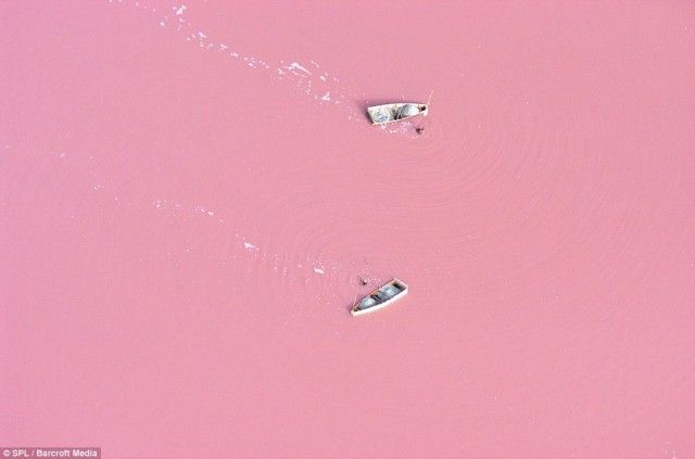 [imagetag] danau pink [DuniaQ Duniamu]