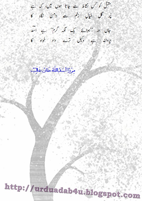 February 2013 Urdu Adab Hum acche kamo ke liye zid karenge toh ye galat nahin hai. urdu adab blogger