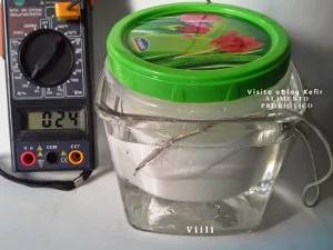 Iogurte Viili dentro de pote de vidro com água