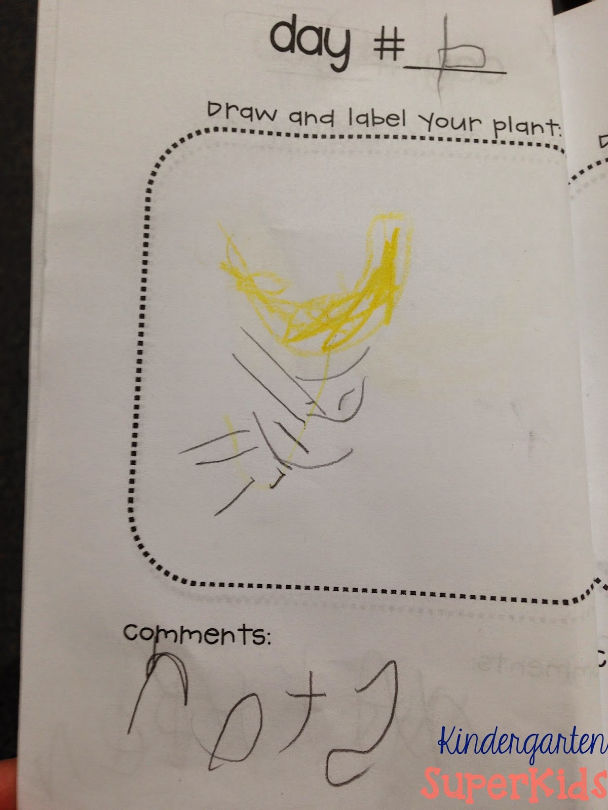 Kindergarten SuperKids Lima Bean Love!