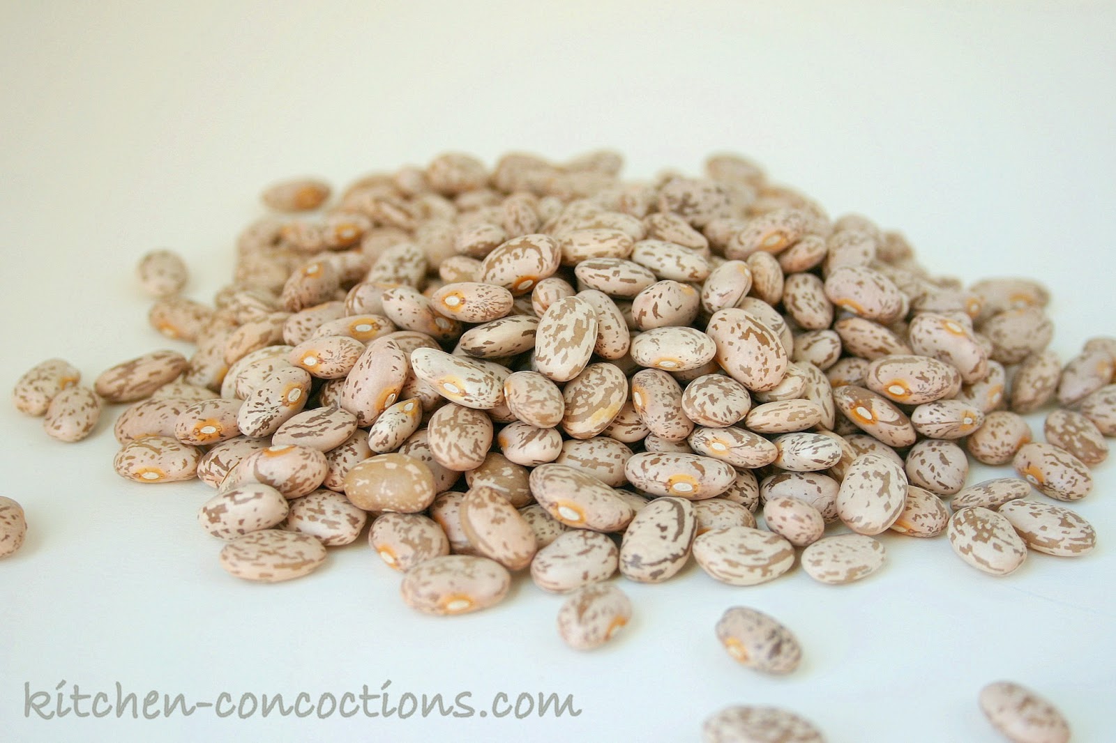 Cooking Basics Working with Dried Beans Kitchen Concoctions