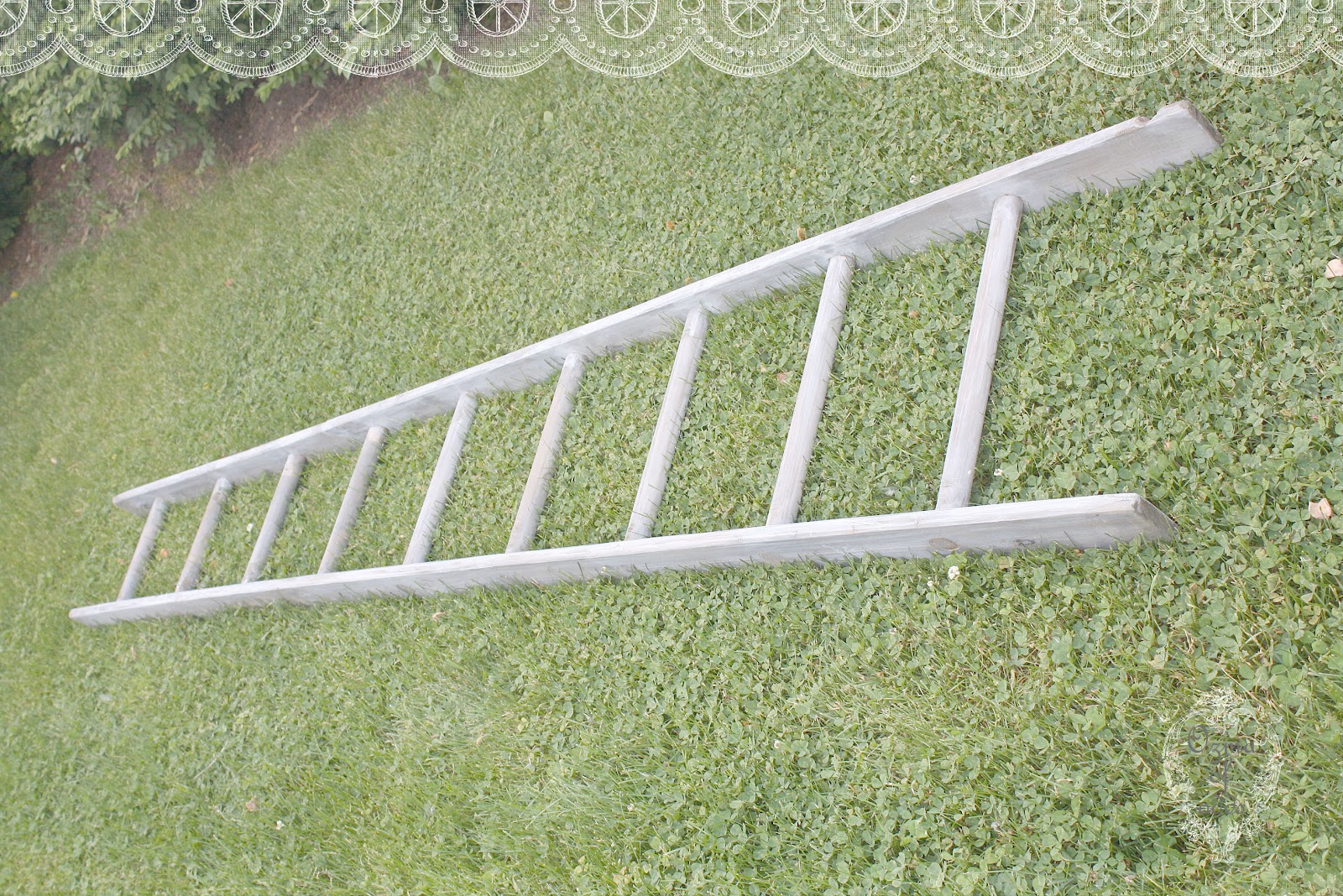 ozma of oddsdiy orchard ladder