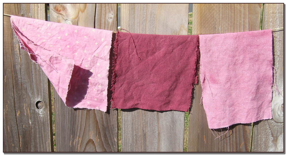 Sidereal Day Blackberry Dye