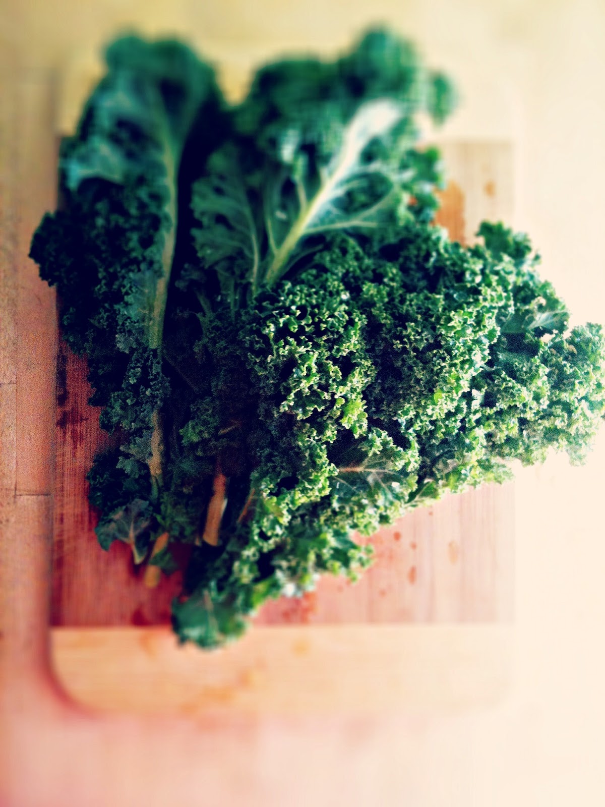 sweetsugarbean Braised Chicken and Kale with Paprika & White Wine