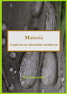 Maresía 8